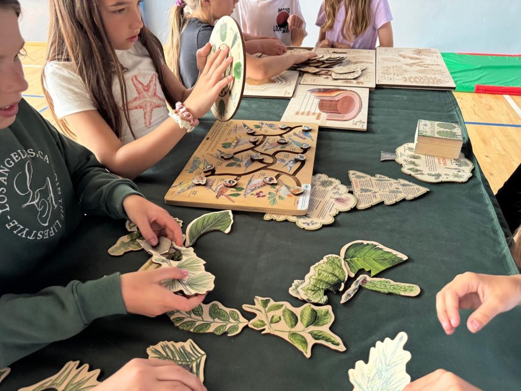 IMG-20260607-WA0008